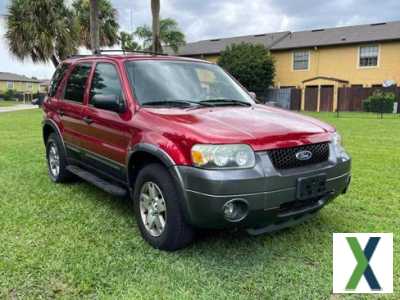 Photo Used 2005 Ford Escape XLT