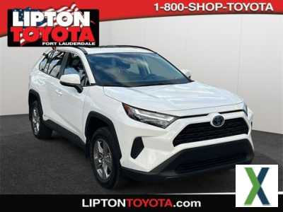Photo Used 2024 Toyota RAV4 XLE